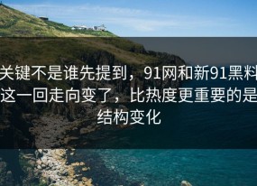 关键不是谁先提到，91网和新91黑料这一回走向变了，比热度更重要的是结构变化