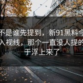 关键不是谁先提到，新91黑料今天再次进入视线，那个一直没人提的点终于浮上来了