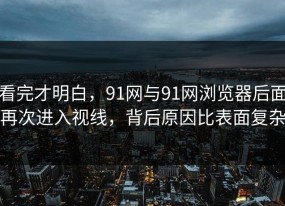 看完才明白，91网与91网浏览器后面再次进入视线，背后原因比表面复杂