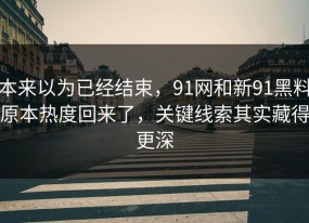 本来以为已经结束，91网和新91黑料原本热度回来了，关键线索其实藏得更深