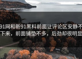91网和新91黑料前面让评论区安静不下来，前面铺垫不多，后劲却很明显