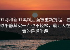 91网和新91黑料后面被重新提起，看似平静其实一点也不轻松，最让人在意的是后半段