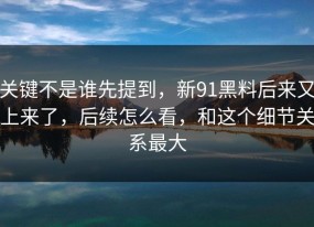 关键不是谁先提到，新91黑料后来又上来了，后续怎么看，和这个细节关系最大