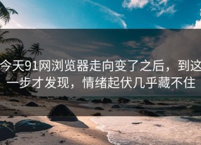 今天91网浏览器走向变了之后，到这一步才发现，情绪起伏几乎藏不住