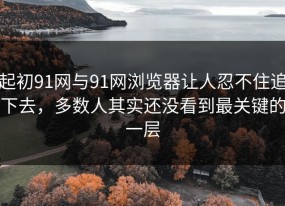 起初91网与91网浏览器让人忍不住追下去，多数人其实还没看到最关键的一层