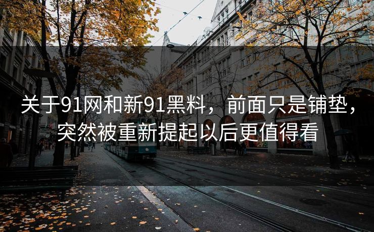 关于91网和新91黑料，前面只是铺垫，突然被重新提起以后更值得看