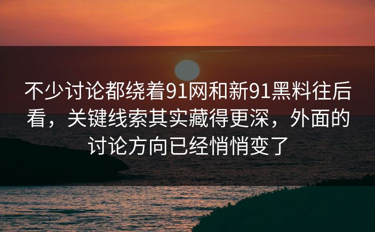 不少讨论都绕着91网和新91黑料往后看，关键线索其实藏得更深，外面的讨论方向已经悄悄变了
