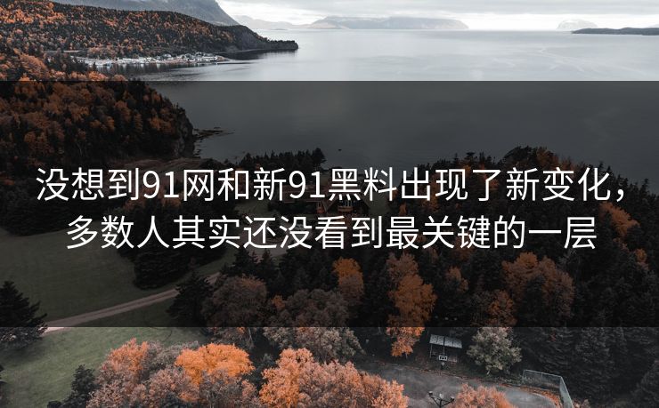 没想到91网和新91黑料出现了新变化，多数人其实还没看到最关键的一层