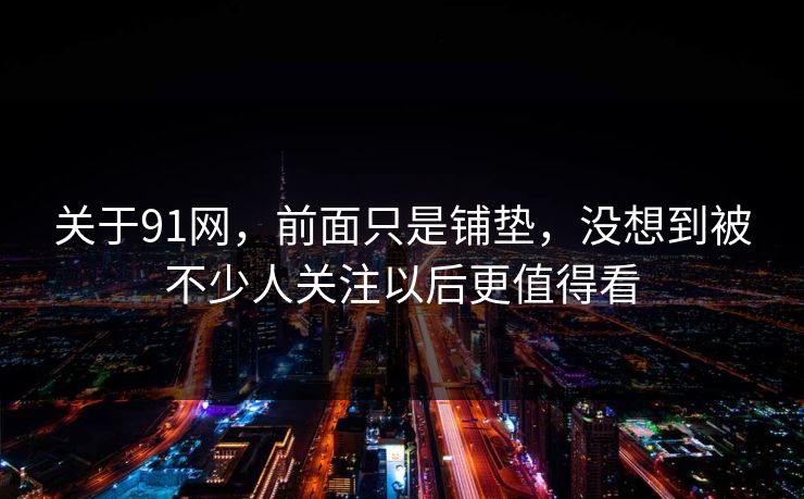 关于91网，前面只是铺垫，没想到被不少人关注以后更值得看