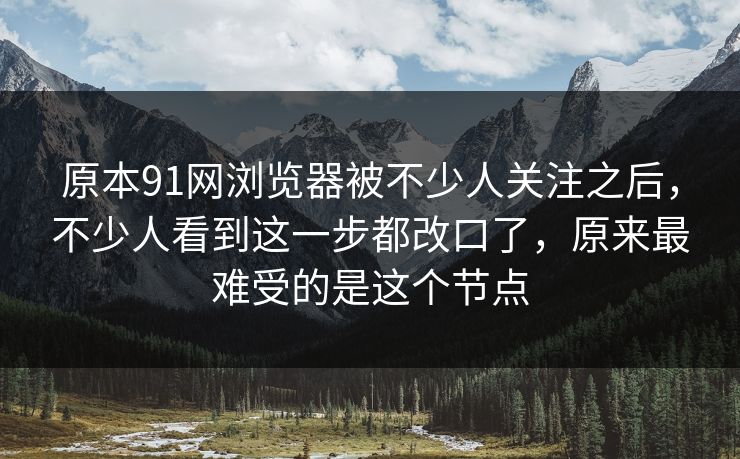 原本91网浏览器被不少人关注之后，不少人看到这一步都改口了，原来最难受的是这个节点