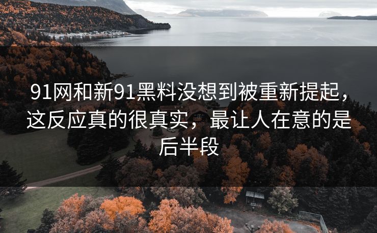 91网和新91黑料没想到被重新提起，这反应真的很真实，最让人在意的是后半段