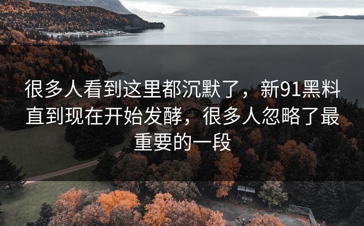 很多人看到这里都沉默了，新91黑料直到现在开始发酵，很多人忽略了最重要的一段