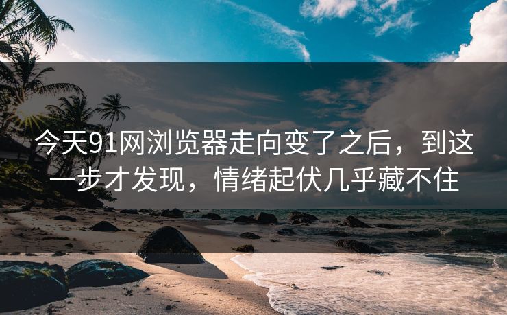 今天91网浏览器走向变了之后，到这一步才发现，情绪起伏几乎藏不住