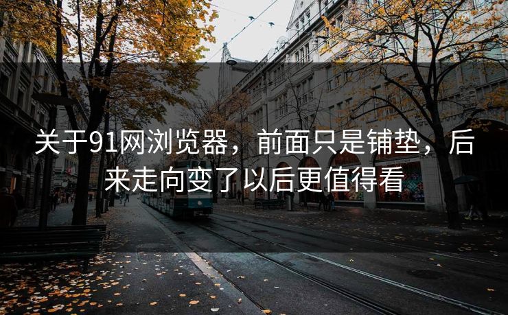 关于91网浏览器，前面只是铺垫，后来走向变了以后更值得看