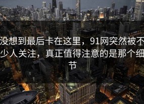 没想到最后卡在这里，91网突然被不少人关注，真正值得注意的是那个细节