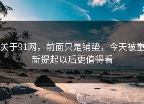 关于91网，前面只是铺垫，今天被重新提起以后更值得看