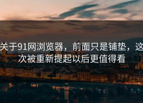 关于91网浏览器，前面只是铺垫，这次被重新提起以后更值得看