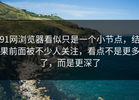 91网浏览器看似只是一个小节点，结果前面被不少人关注，看点不是更多了，而是更深了