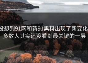 没想到91网和新91黑料出现了新变化，多数人其实还没看到最关键的一层