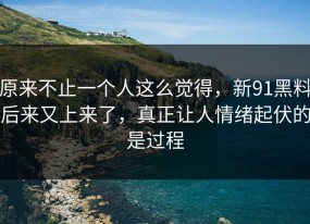 原来不止一个人这么觉得，新91黑料后来又上来了，真正让人情绪起伏的是过程