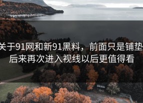 关于91网和新91黑料，前面只是铺垫，后来再次进入视线以后更值得看