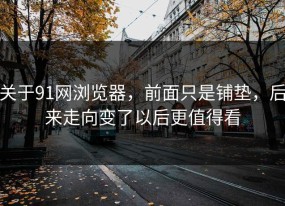 关于91网浏览器，前面只是铺垫，后来走向变了以后更值得看