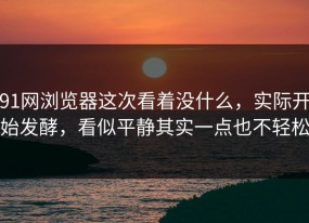 91网浏览器这次看着没什么，实际开始发酵，看似平静其实一点也不轻松
