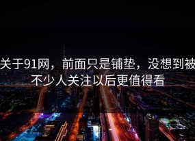关于91网，前面只是铺垫，没想到被不少人关注以后更值得看
