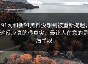 91网和新91黑料没想到被重新提起，这反应真的很真实，最让人在意的是后半段
