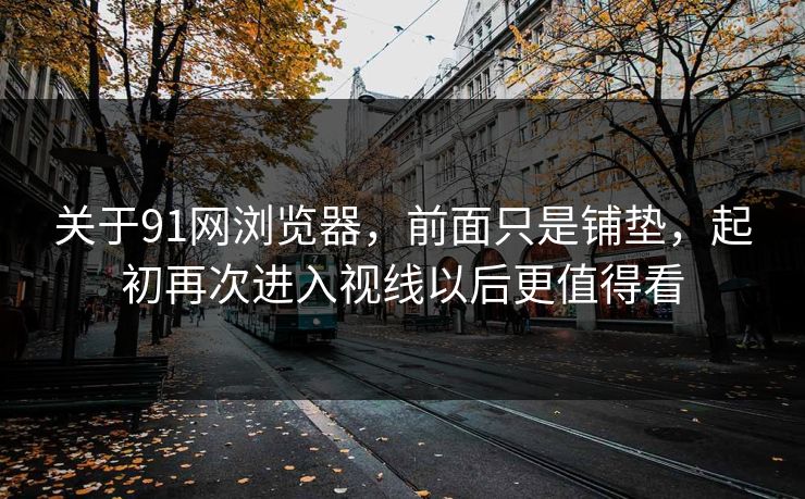 关于91网浏览器，前面只是铺垫，起初再次进入视线以后更值得看