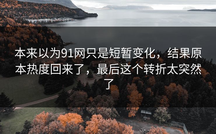 本来以为91网只是短暂变化，结果原本热度回来了，最后这个转折太突然了