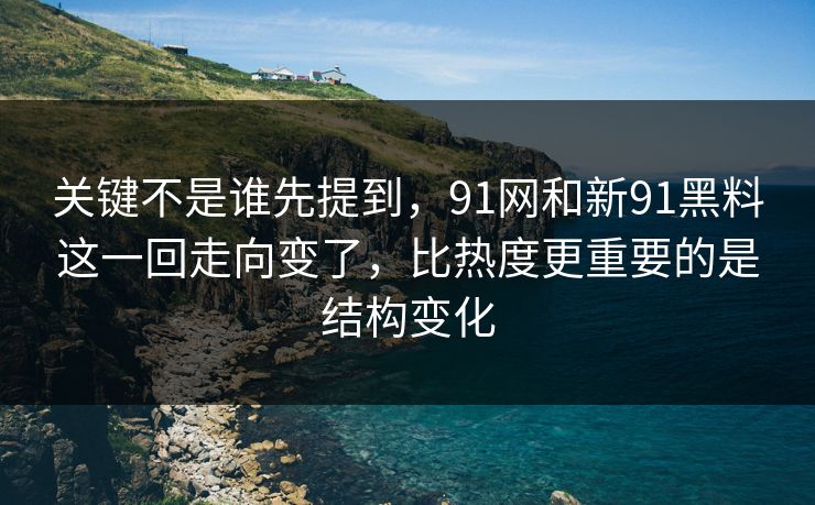 关键不是谁先提到，91网和新91黑料这一回走向变了，比热度更重要的是结构变化