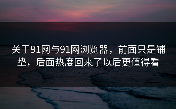 关于91网与91网浏览器，前面只是铺垫，后面热度回来了以后更值得看